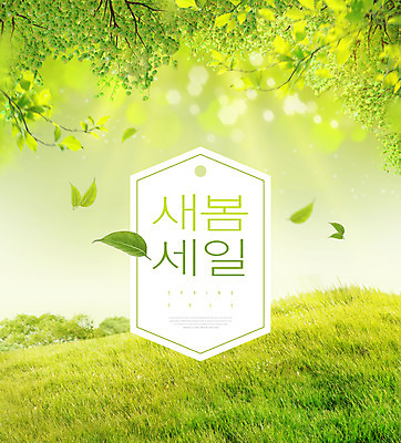 PSD 편집이미지 초원 타이포그라피 사람없음 초록색 쇼핑 꼬리표 세일 봄 나뭇가지 풀잎 할인혜택 이미지편집 나무 문자 계절 컬러 잎 라벨 풀_식물 파일형식 혜택