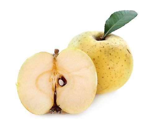 포토 JPG 해외이미지 무료이미지 음식 잎 2 과일 사람없음 노란색 황금 사과 흰배경 채식주의자 비건 해외202105 해외포토 식물 컬러 백그라운드 흰색 채식 파일형식