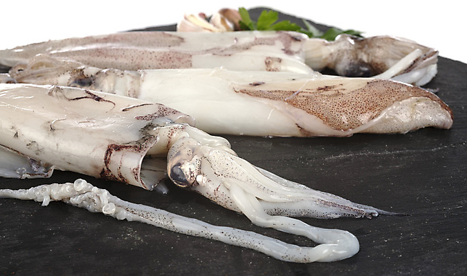 포토 JPG 해외이미지 음식 사람없음 해산물 향신료 오징어 흰배경 날것 석판 해외202105 해외포토 백그라운드 연체동물 수중동물 흰색 향미료 파일형식