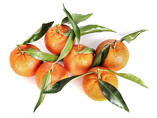 포토 JPG 해외이미지 음식 잎 오렌지 과일 디저트 귤 사람없음 신선 흰배경 해외202105 해외포토 식물 백그라운드 흰색 파일형식