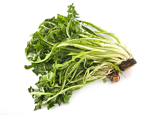 포토 JPG 해외이미지 음식 채소 사람없음 초록색 샐러드 신선 민들레 먹기 흰배경 채식주의자 비건 해외202105 해외포토 꽃 컬러 백그라운드 모션 흰색 채식 파일형식