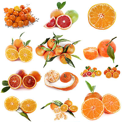 포토 JPG 해외이미지 음식 잎 오렌지 과일 귤 사람없음 신선 흰배경 그림 합성 해외202105 해외포토 식물 백그라운드 흰색 파일형식