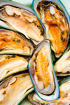 포토 JPG 해외이미지 전통 접시 백그라운드 사람없음 야외 신선 해산물 홍합 해외202105 해외포토 식기 어패류 파일형식