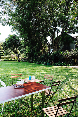 포토 JPG 해외이미지 접시 잎 탁자 휴식 풍경 사람없음 야외 물 정원 아침식사 해외202105 해외포토 자연요소 식물 식기 가구 컨셉 식사 파일형식