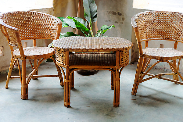 포토 JPG 해외이미지 전통 라이프스타일 화분 화초 백그라운드 잎 거실 의자 탁자 바닥 실내 사람없음 내부 소파 카페 방 신선 고급 우아함 원예 안락의자 등나무 콘크리트 해외202105 해외포토 나무 식물 가구 컨셉 취미 생활 상점 파일형식