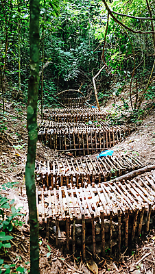 포토 JPG 해외이미지 길 백그라운드 잎 풍경 사람없음 야외 물 정원 해외202105 해외포토 자연요소 식물 파일형식