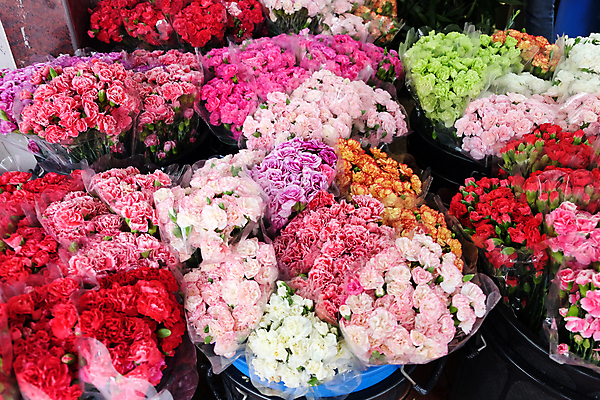 포토 JPG 해외이미지 꽃잎 꽃 분홍색 꽃다발 백그라운드 잎 사람없음 정원 신선 꽃집 원예 해외202105 해외포토 식물 컬러 취미 상점 파일형식