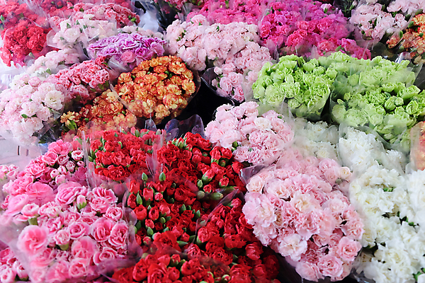 포토 JPG 해외이미지 꽃잎 꽃 분홍색 꽃다발 백그라운드 잎 사람없음 정원 신선 꽃집 원예 해외202105 해외포토 식물 컬러 취미 상점 파일형식