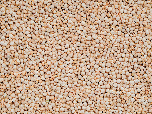 포토 JPG 해외이미지 건조 건강 식이요법 요리 씨앗 사람없음 쌓기 식사 에너지 시리얼 가득함 준비 질감 알맹이 칼로리 섬유 단백질 잉카 퀴노아 슈퍼푸드 해외202105 해외포토 식물 음식 모션 곡류 직물 건강식품 영양소 파일형식