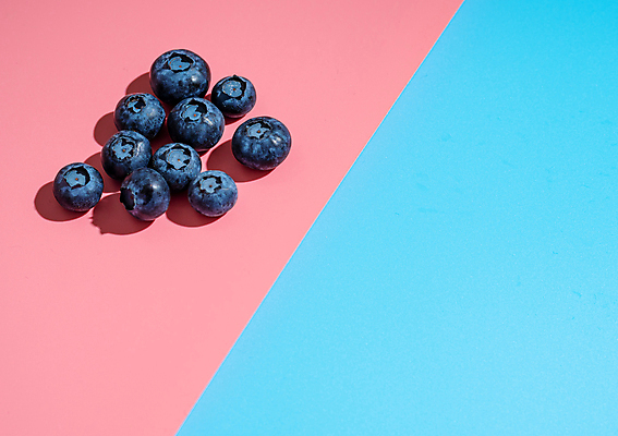 포토 JPG 해외이미지 실내 사람없음 파란배경 블루베리 카피스페이스 분홍색배경 해외202105 해외포토 분홍색 백그라운드 과일 내부 파란색 공백 파일형식