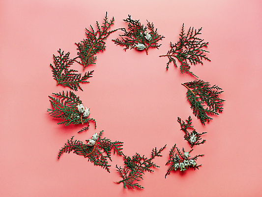 포토 JPG 해외이미지 모양 나무 무료이미지 분홍색 크리스마스 겨울 패턴 새로움 프레임 이벤트 사람없음 축제 플랫 연도 책상 레이아웃 상록수 전나무 카피스페이스 미니멀 사이프러스 해외202105 해외포토 식물 계절 기념일 컬러 가구 컨셉 무늬 공백 파일형식 무료콘텐츠