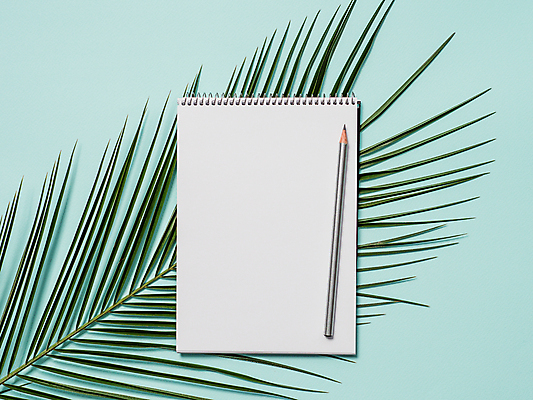 포토 JPG 해외이미지 여자 종이 잎 사람없음 연필 공책 공백 플랫 카피스페이스 해외202105 해외포토 식물 문구용품 학용품 사람 필기구 파일형식