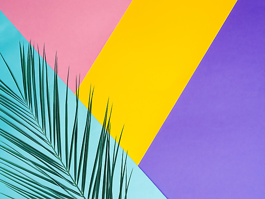 포토 JPG 해외이미지 백그라운드 실내 사람없음 컬러풀 야자수잎 카피스페이스 해외202105 해외포토 컬러 잎 내부 공백 파일형식