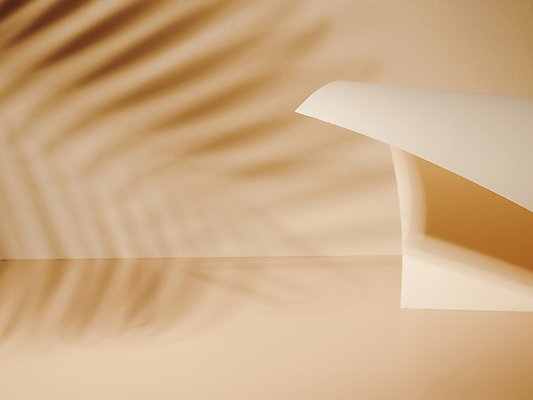 포토 JPG 해외이미지 종이 실내 그림자 사람없음 나뭇잎모양 목업 베이지색배경 미니멀 해외202105 해외포토 모양 백그라운드 나뭇잎 내부 베이지색 파일형식