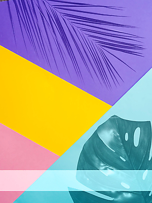 포토 JPG 해외이미지 종이 분홍색 패턴 추상 프레임 이벤트 사람없음 장식 노란색 공백 플랫 레이아웃 라일락 목업 카피스페이스 미니멀리스트 해외202105 해외포토 꽃 컬러 무늬 파일형식