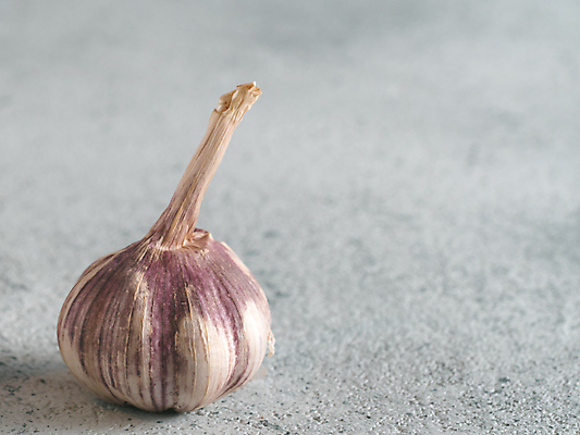 포토 JPG 해외이미지 무료이미지 음식 잎 채소 전구 건강 마늘 사람없음 보라색 회색 신선 양념 조미료 허브 향신료 오브젝트 매움 향료 향 카피스페이스 해외202105 해외포토 식물 컬러 공백 맛 향기 냄새 향미료 파일형식