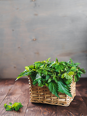 포토 JPG 해외이미지 실내 사람없음 바구니 신선 담기 나무탁자 쐐기풀 해외202105 해외포토 모션 탁자 내부 파일형식