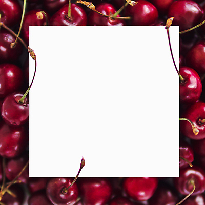 포토 JPG 해외이미지 사각프레임 실내 사람없음 체리 정사각형 카피스페이스 해외202105 해외포토 도형 과일 프레임 내부 사각형 공백 파일형식