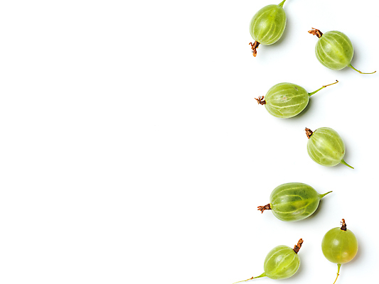 포토 JPG 해외이미지 실내 사람없음 신선 흰배경 구스베리 카피스페이스 해외202105 해외포토 열매 백그라운드 내부 공백 흰색 파일형식