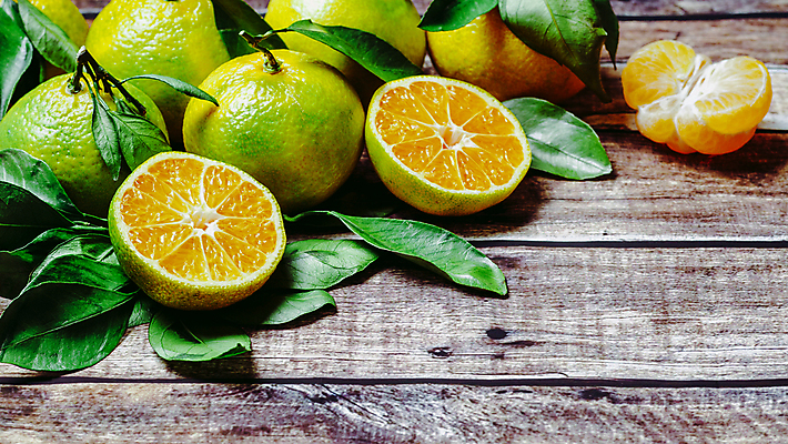 포토 JPG 해외이미지 잎 단면 귤 실내 사람없음 신선 상큼 나무배경 해외202105 해외포토 식물 백그라운드 과일 내부 파일형식