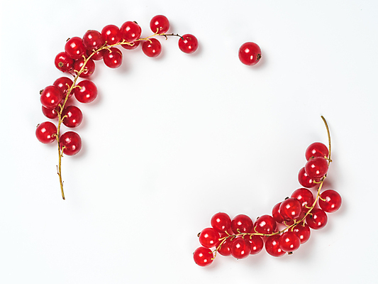 포토 JPG 해외이미지 프레임 실내 사람없음 흰배경 레드커런트 카피스페이스 해외202105 해외포토 열매 백그라운드 내부 공백 흰색 파일형식