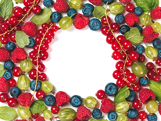 포토 JPG 해외이미지 음식 건강 종류 사람없음 신선 레이아웃 블루베리 산딸기 건포도 구스베리 섞기 카피스페이스 해외202105 해외포토 열매 과일 포도 공백 건과일 파일형식