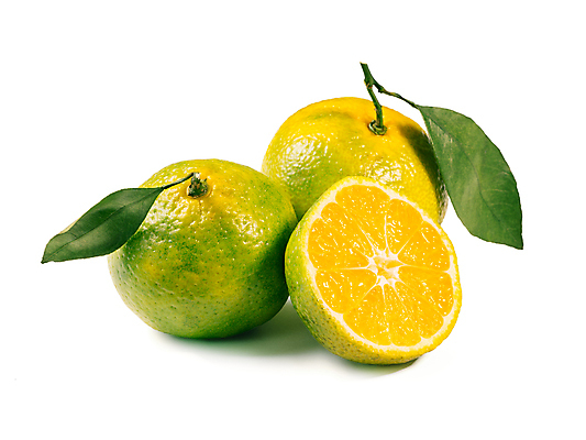 포토 JPG 해외이미지 무료이미지 음식 조각 잎 오렌지 과일 귤 사람없음 노란색 신선 달콤 흰배경 반쪽 해외202105 해외포토 식물 컬러 백그라운드 흰색 맛 파일형식 무료콘텐츠