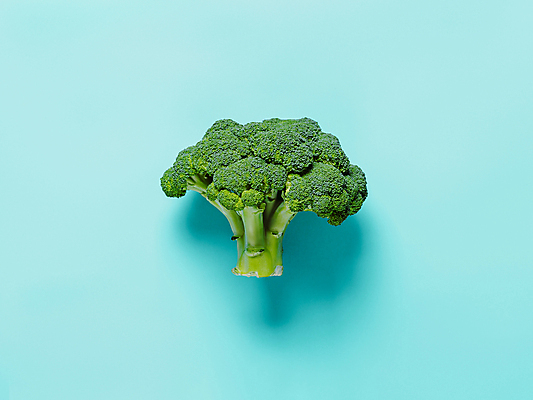 포토 JPG 해외이미지 실내 그림자 사람없음 한개 브로콜리 파란배경 해외202105 해외포토 1 백그라운드 채소 내부 파란색 파일형식