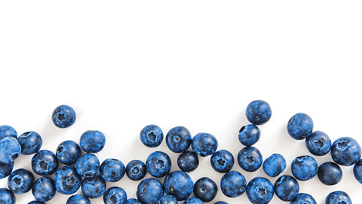 포토 JPG 해외이미지 실내 사람없음 흰배경 블루베리 카피스페이스 해외202105 해외포토 백그라운드 과일 내부 공백 흰색 파일형식