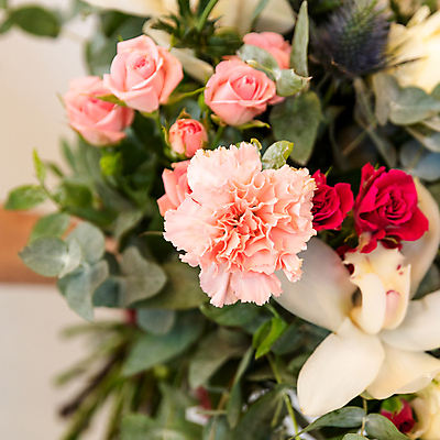 포토 JPG 해외이미지 꽃잎 꽃 잎 발렌타인데이 사람없음 장미 활발 낭만 다발 흰배경 강렬 작약 해외202105 해외포토 식물 백그라운드 컨셉 데이이벤트 흰색 파일형식