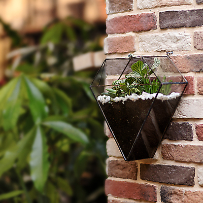 포토 JPG 해외이미지 식물 화분 벽 벽돌 실내 사람없음 아웃포커스 흙 조약돌 투명 원예 원예식물 플랜테리어 테라리움 해외202105 해외포토 촬영기법 취미 내부 인테리어 돌_바위 파일형식