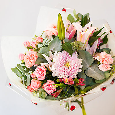 포토 JPG 해외이미지 식물 꽃잎 꽃 잎 사람없음 상자 장미 낭만 선택 흰배경 해외202105 해외포토 백그라운드 컨셉 흰색 파일형식