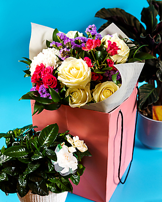 포토 JPG 해외이미지 식물 꽃 선물 사람없음 상자 해외202105 해외포토 파일형식