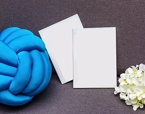 포토 JPG 해외이미지 꽃잎 꽃 리본 종이 분홍색 가구 베개 프레임 선물 사랑 사람없음 내부 낭만 축하 생일 패키지 판지 목업 해외202105 해외포토 식물 기념일 감정 컬러 생활용품 컨셉 침구 파일형식