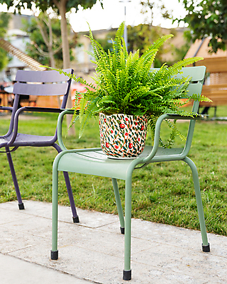 포토 JPG 해외이미지 식물 손 의자 유리 탁자 사람없음 야외 내부 식당 꽃병 흙 해외202105 해외포토 꽃 가구 재질 신체부위 상점 파일형식