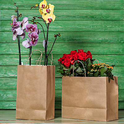 포토 JPG 해외이미지 무료이미지 탁자 사람없음 야외 쇼핑백 꽃병 흙 난초 해외202105 해외포토 식물 꽃 가구 가방 파일형식 무료콘텐츠