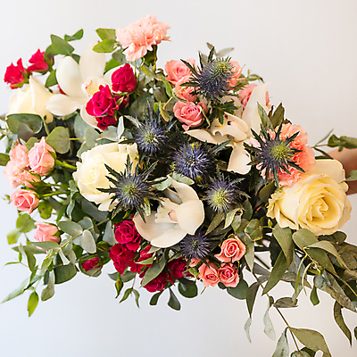 포토 JPG 해외이미지 여자 꽃 잎 사랑 사람없음 활발 폭포 낭만 우아함 꽃집 부드러움 아네모네 해외202105 해외포토 식물 감정 컨셉 자연 사람 상점 감각 파일형식