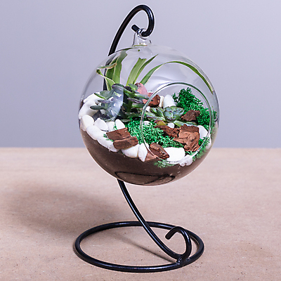 포토 JPG 해외이미지 탁자 사람없음 꽃병 흙 카페 해외202105 해외포토 꽃 가구 상점 파일형식