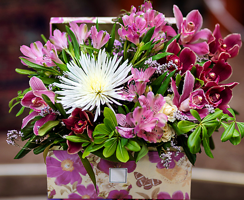 포토 JPG 해외이미지 꽃 잎 사랑 사람없음 야외 축하 우아함 스타일 해외202105 해외포토 식물 감정 컨셉 파일형식