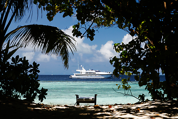 포토 JPG 해외이미지 나무 모래 파도 바다 잎 태국 자연 하늘 추상 휴식 사람없음 야외 물 태양 황혼 일몰 나뭇가지 만 보트 서핑 저녁 휴양지 코코넛 세이셸 석호 해외202105 해외포토 자연요소 식물 아시아 컨셉 무늬 배_교통 과일 아프리카 노을 장소 수상스포츠 야간 생태계 파일형식