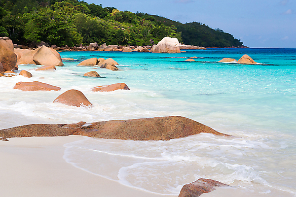 포토 JPG 해외이미지 나무 모래 파도 바다 잎 자연 하늘 휴식 풍경 사람없음 물 파란색 태양 맑음 침묵 바위 전원 만 서핑 휴양지 세이셸 석호 로스앤젤레스 화강암 해외202105 해외포토 자연요소 식물 컬러 컨셉 아프리카 날씨 미국 소리 장소 암석 돌_바위 수상스포츠 전기에너지 생태계 파일형식