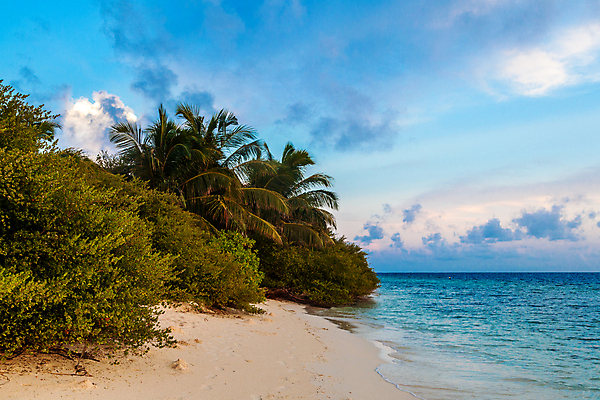 포토 JPG 해외이미지 나무 모래 파도 바다 의자 자연 하늘 휴식 멕시코 풍경 사람없음 야외 물 태양 일출 맑음 일몰 낭만 하와이 발리 보라카이 세이셸 몰디브 마이애미 바하마 자메이카 칸쿤 플로리다 해외202105 해외포토 자연요소 식물 아시아 섬 가구 컨셉 북아메리카 아프리카 날씨 필리핀 노을 미국 생태계 인도네시아 파일형식