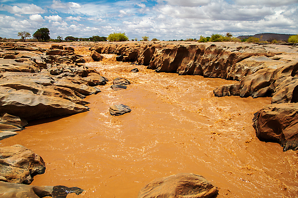 포토 JPG 해외이미지 동물 야생동물 아프리카 사람없음 빨간색 물 강 상아 케냐 동쪽 남쪽 가나 공화국 나미비아 나이지리아 보츠와나 앙골라 에티오피아 우간다 잠비아 카메룬 콩고 탄자니아 해외202105 해외포토 자연요소 나라 컬러 방향 남아프리카 파일형식 서아프리카