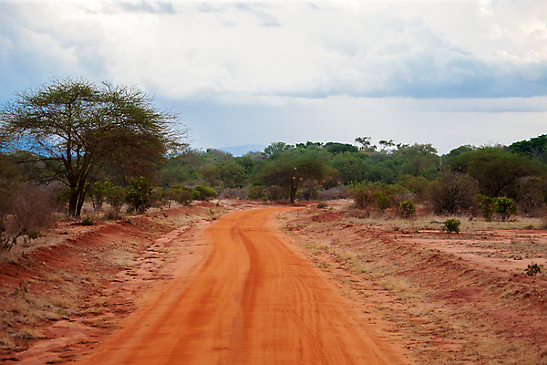 포토 JPG 해외이미지 나무 식물 도로 아프리카 자연 하늘 건조 풍경 초원 사람없음 야외 빨간색 파란색 맑음 사막 뜨거움 보호 케냐 아카시아 사바나 생태학 서쪽 해외202105 해외포토 교육 나라 길 컬러 컨셉 교통시설 날씨 방향 생태계 파일형식