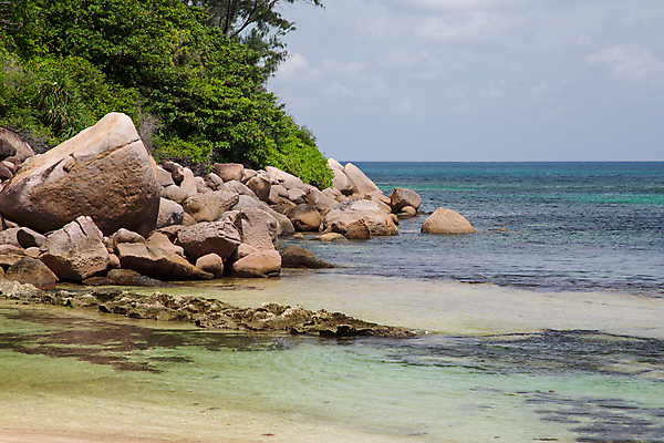 포토 JPG 해외이미지 나무 모래 파도 바다 잎 자연 하늘 휴식 풍경 사람없음 물 파란색 태양 맑음 침묵 바위 전원 만 서핑 휴양지 세이셸 석호 로스앤젤레스 화강암 해외202105 해외포토 자연요소 식물 컬러 컨셉 아프리카 날씨 미국 소리 장소 암석 돌_바위 수상스포츠 전기에너지 생태계 파일형식