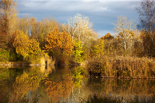 포토 JPG 해외이미지 나무 유럽 호수 잎 자연 하늘 풍경 사람없음 야외 빨간색 물 파란색 빛 태양 평화 일출 숲 장면 해외202105 해외포토 자연요소 식물 나라 컬러 컨셉 노을 생태계 파일형식