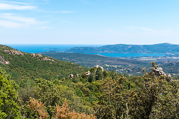 포토 JPG 해외이미지 나무 식물 꽃 유럽 밭 자연 하늘 산 파노라마 풍경 초원 사람없음 야외 파란색 태양 평화 환경 계곡 맑음 시골 땅 언덕 코르시카 수평선 해외202105 해외포토 자연요소 나라 컬러 섬 컨셉 농업 날씨 촬영기법 프랑스 생태계 파일형식