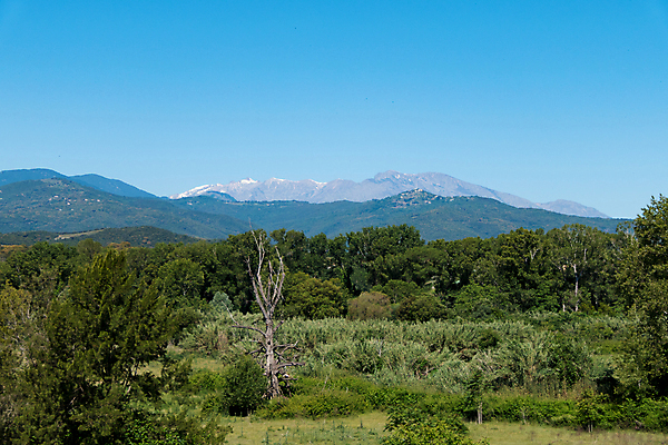 포토 JPG 해외이미지 나무 식물 꽃 유럽 밭 자연 하늘 산 파노라마 풍경 초원 사람없음 야외 파란색 태양 평화 환경 계곡 맑음 시골 땅 언덕 코르시카 수평선 해외202105 해외포토 자연요소 나라 컬러 섬 컨셉 농업 날씨 촬영기법 프랑스 생태계 파일형식