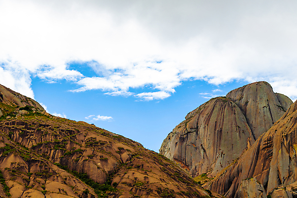 포토 JPG 해외이미지 식물 꽃 야생동물 아프리카 자연 산 풍경 사람없음 야외 마을 정원 하이킹 시골 진화 마다가스카르 특별함 해외202105 해외포토 동물 나라 컨셉 레저 소방 생태계 파일형식