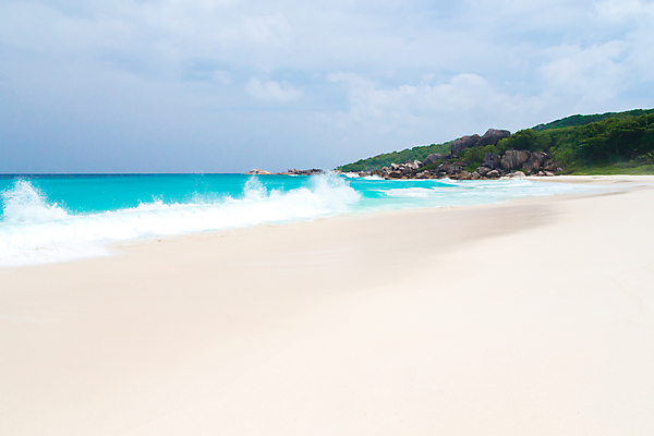 포토 JPG 해외이미지 나무 모래 파도 바다 잎 자연 하늘 휴식 풍경 사람없음 물 파란색 태양 맑음 침묵 바위 전원 만 서핑 휴양지 세이셸 석호 로스앤젤레스 화강암 해외202105 해외포토 자연요소 식물 컬러 컨셉 아프리카 날씨 미국 소리 장소 암석 돌_바위 수상스포츠 전기에너지 생태계 파일형식